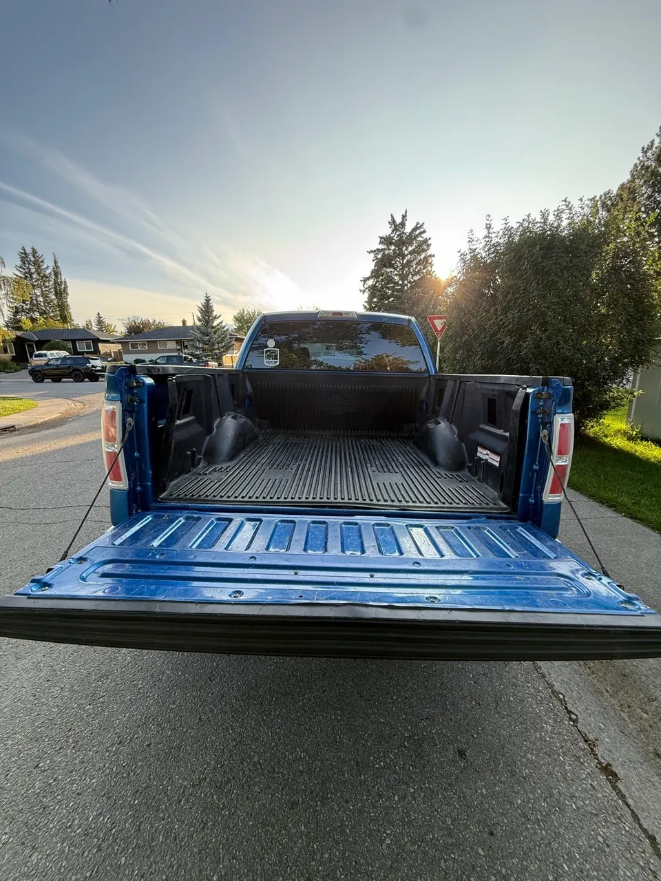 Ford F-150 2010 photo 5