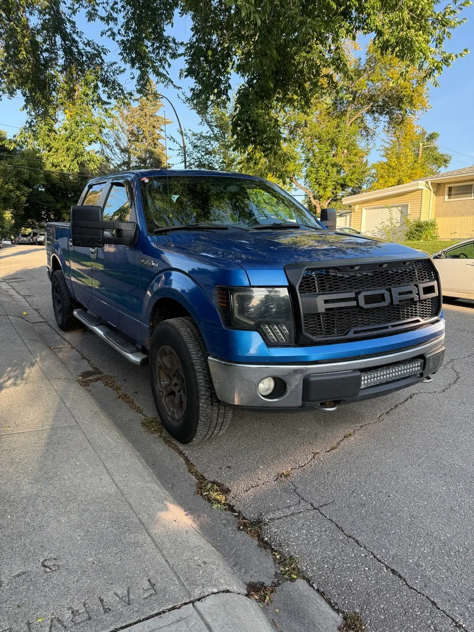 Ford F-150 2010 photo 3