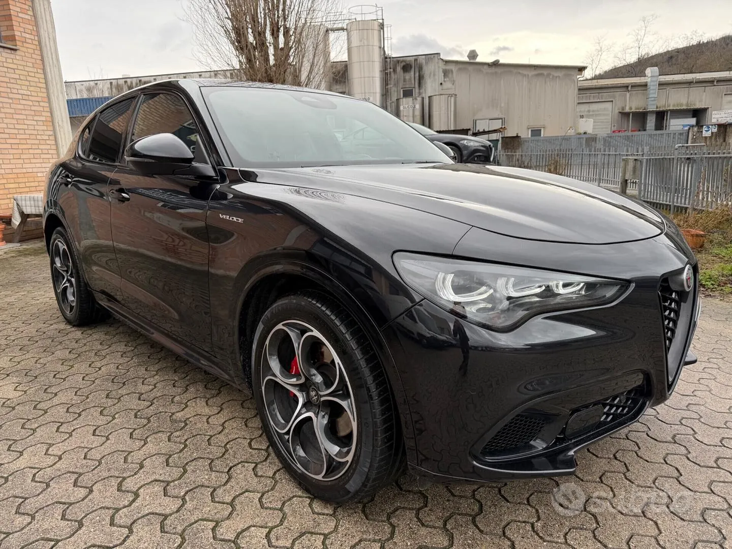 Alfa Romeo Stelvio 2024 photo 5