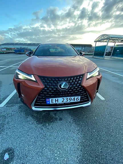 Lexus Ux300E