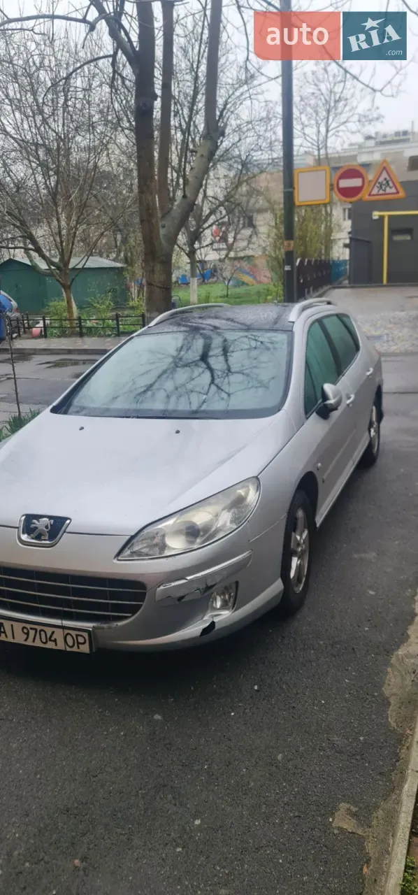 Peugeot 407 2010 photo 2