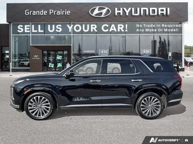 Hyundai Palisade 2025 photo 3