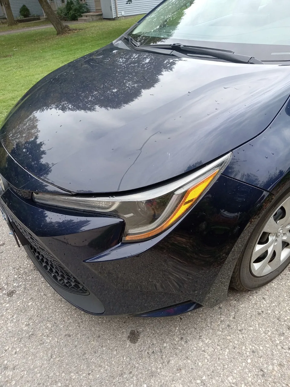 Toyota Corolla 2021 photo 5