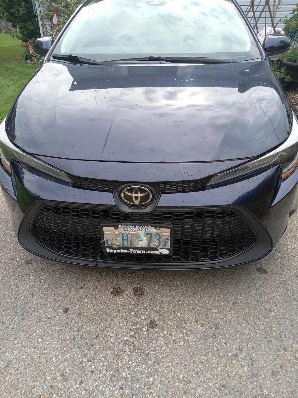 Toyota Corolla 2021 photo 3