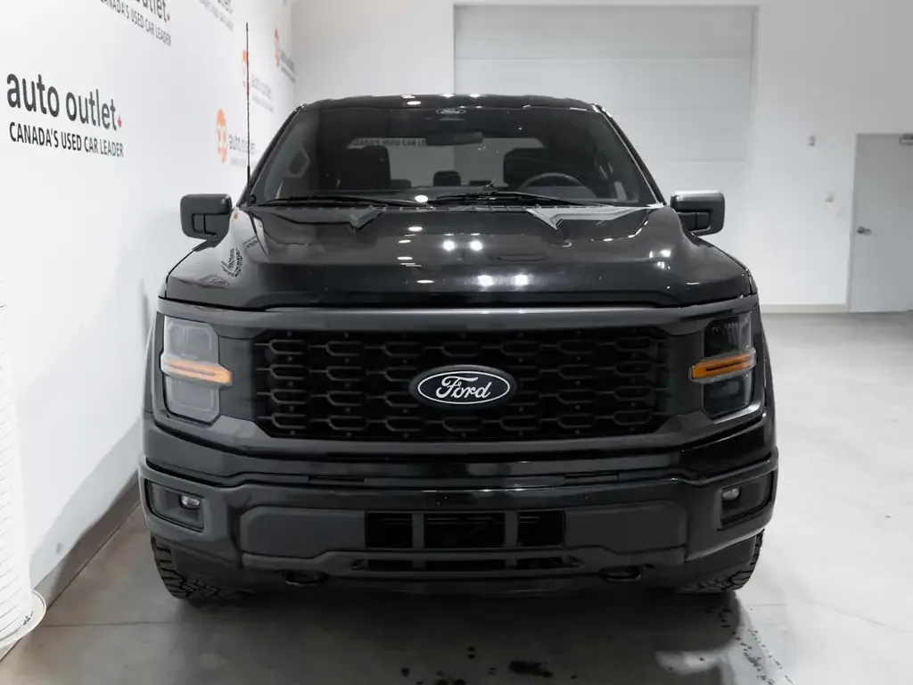 Ford F-150 2024 photo 3