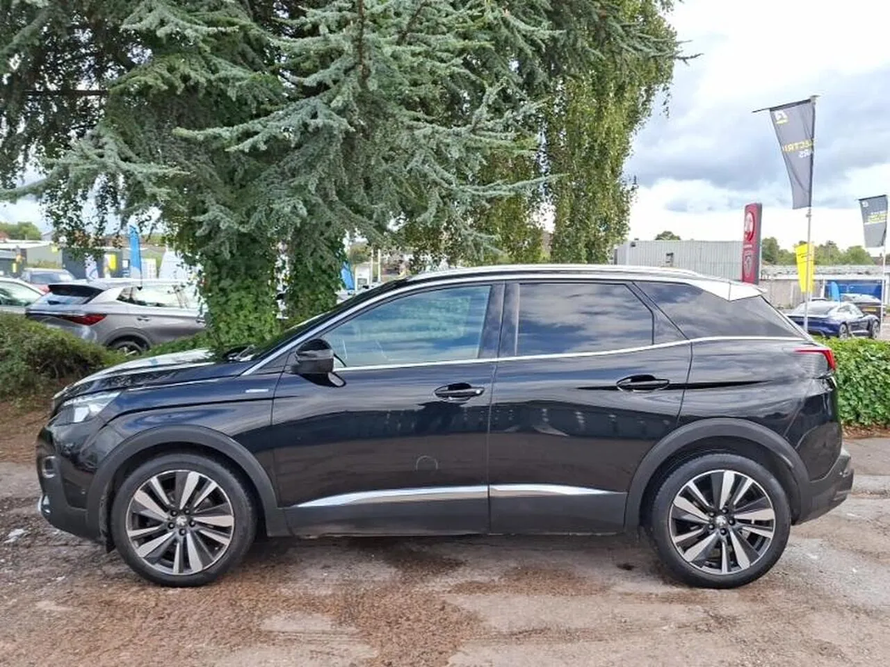 Peugeot 3008 2019 photo 4