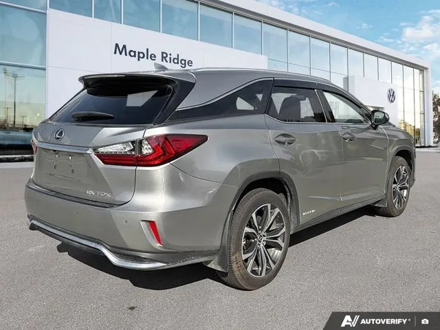 Lexus Rx 450Hl 2019 photo 5