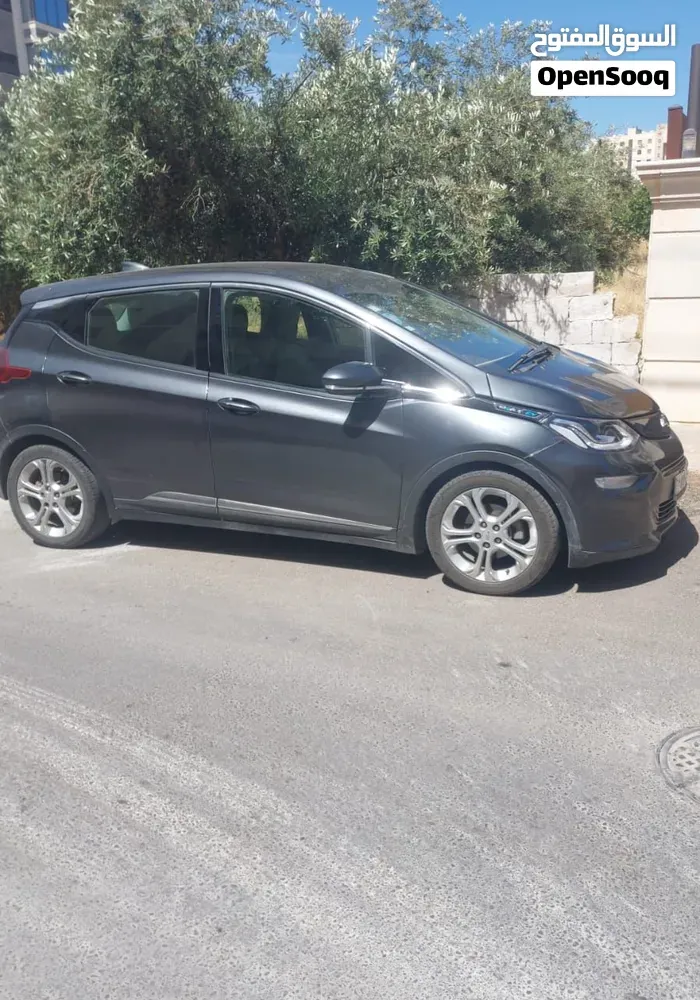 Chevrolet Bolt 2019 photo 3