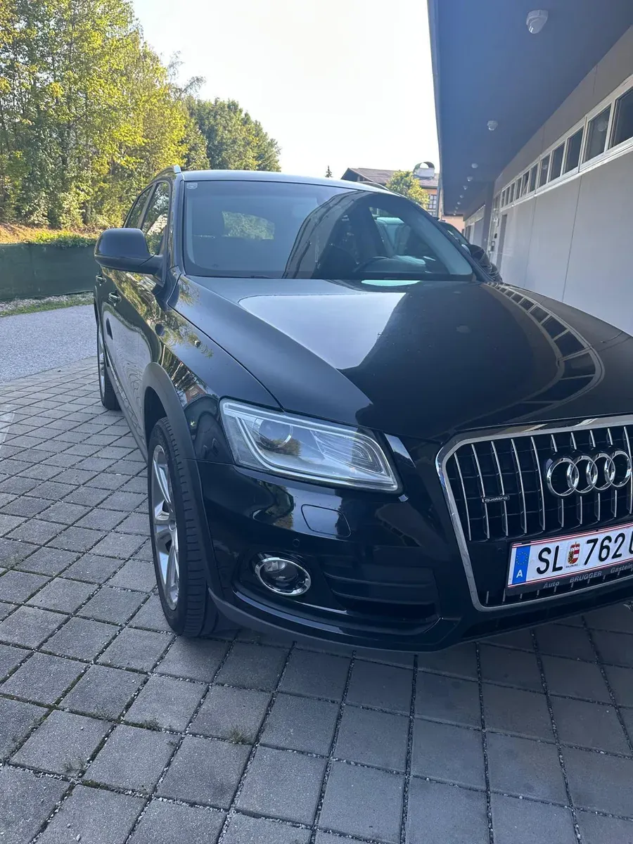 Audi Q5 2013 photo 2