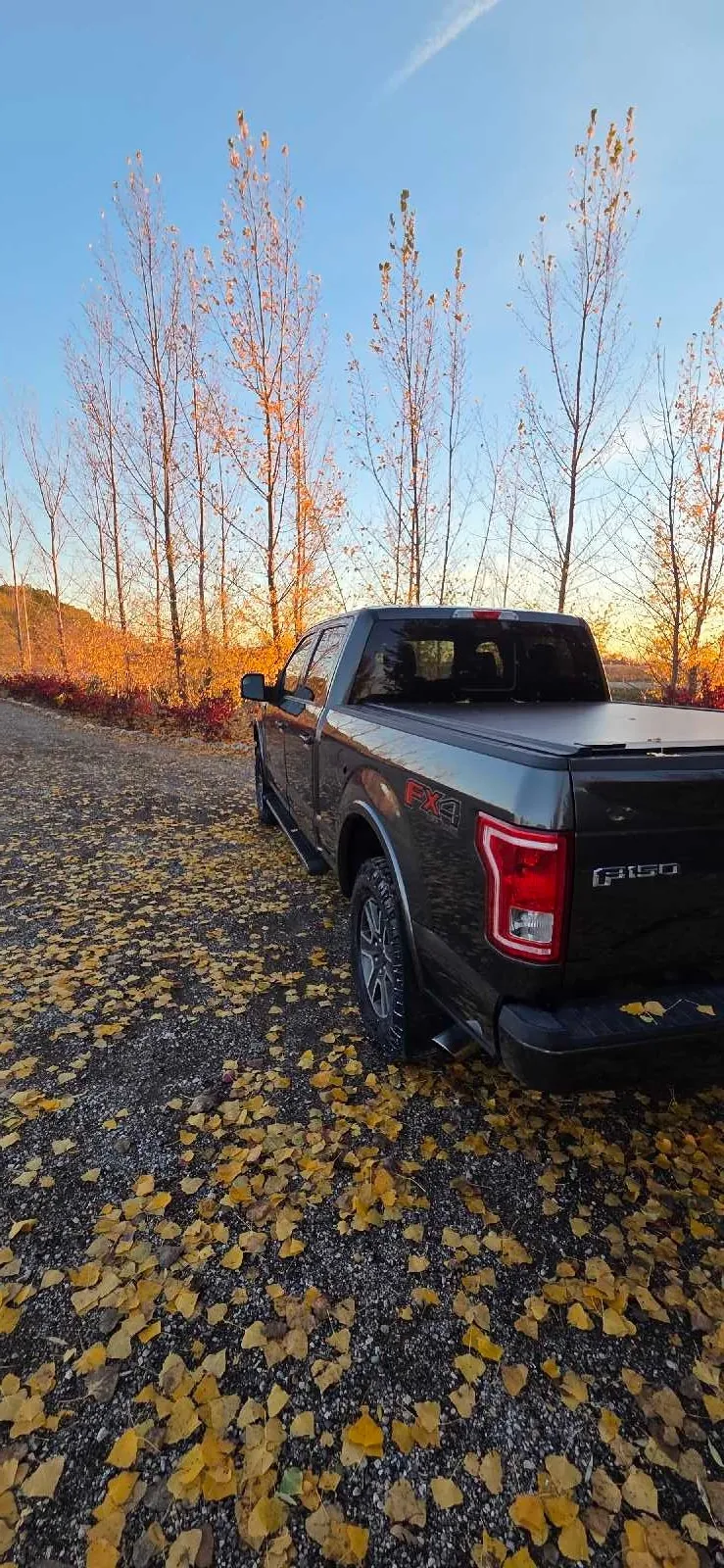 Ford F-150 2016 photo 4