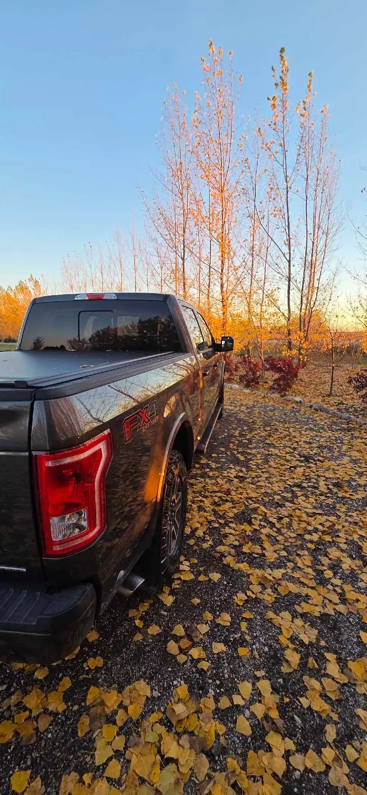 Ford F-150 2016 photo 3