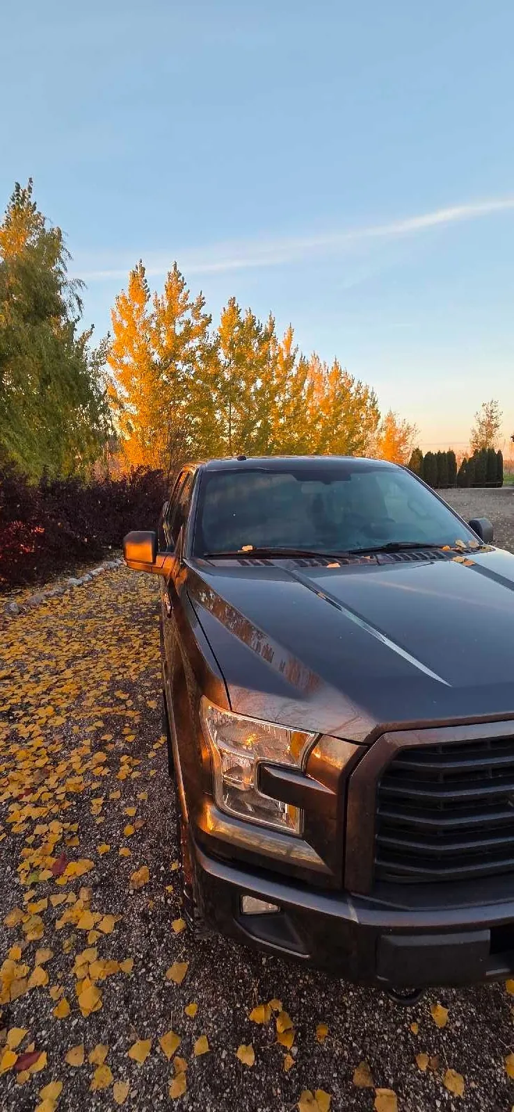 Ford F-150 2016 photo 2