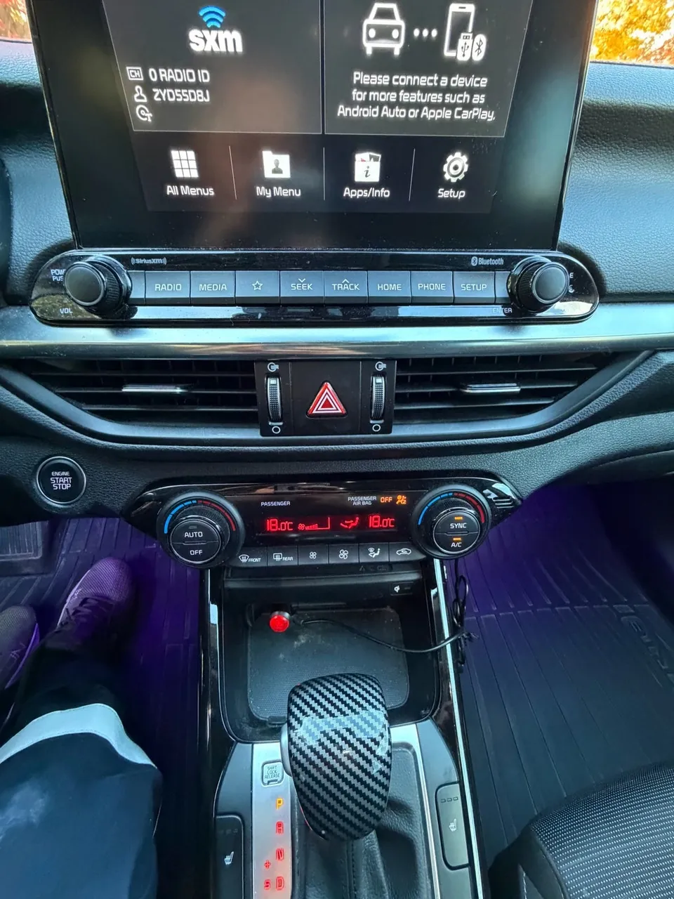Kia Forte 2020 photo 2