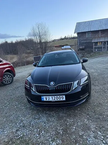 Skoda Octavia 2019 photo 2