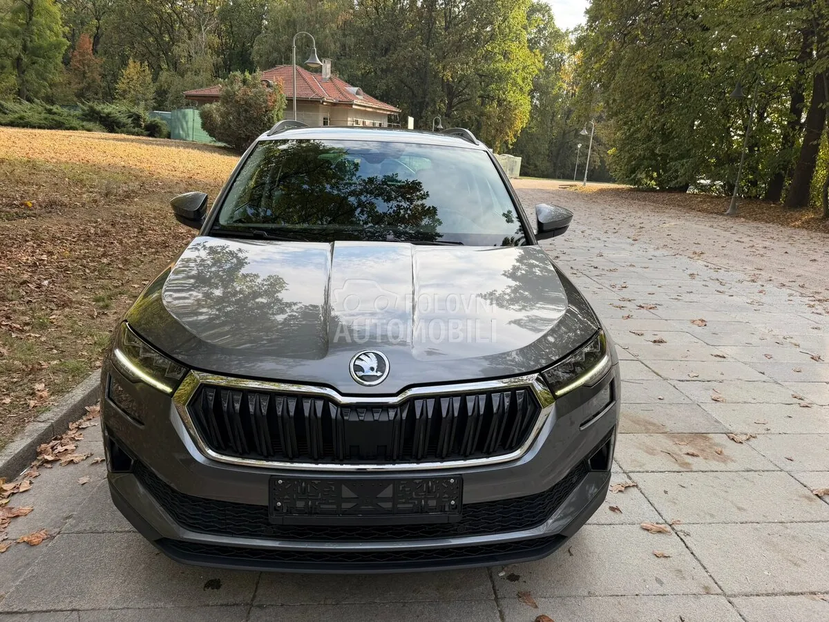 Skoda Karoq 2022 photo 3