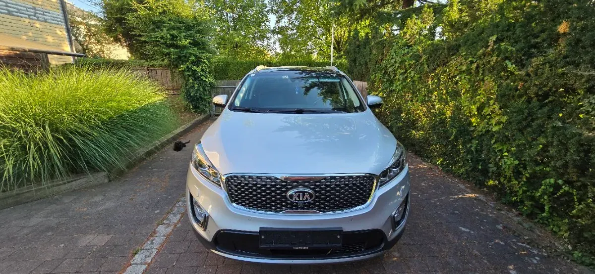 Kia Sorento 2015 photo 2