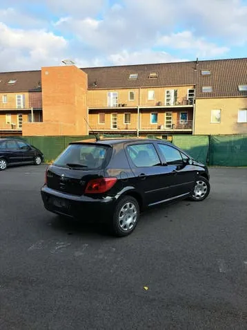 Peugeot 307