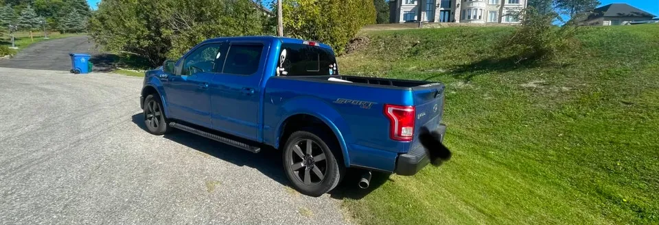 Ford F-150 2016 photo 3