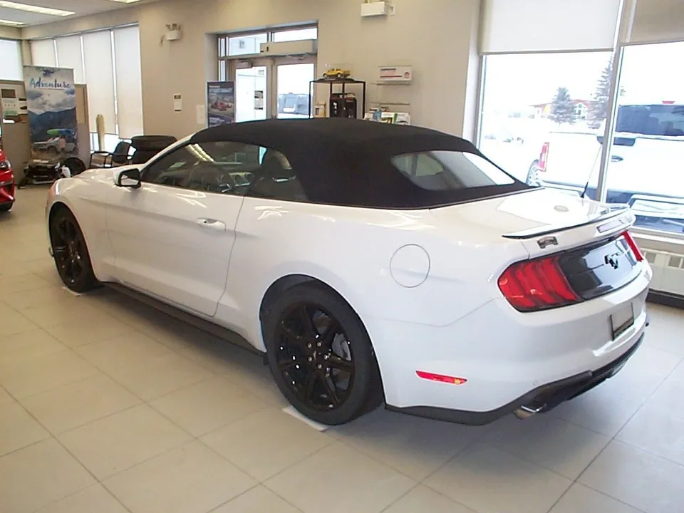Ford Mustang 2019 photo 2