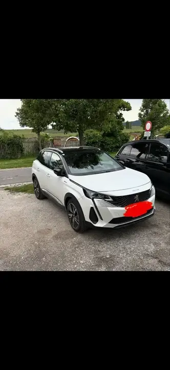 Peugeot 3008 2021 photo 2