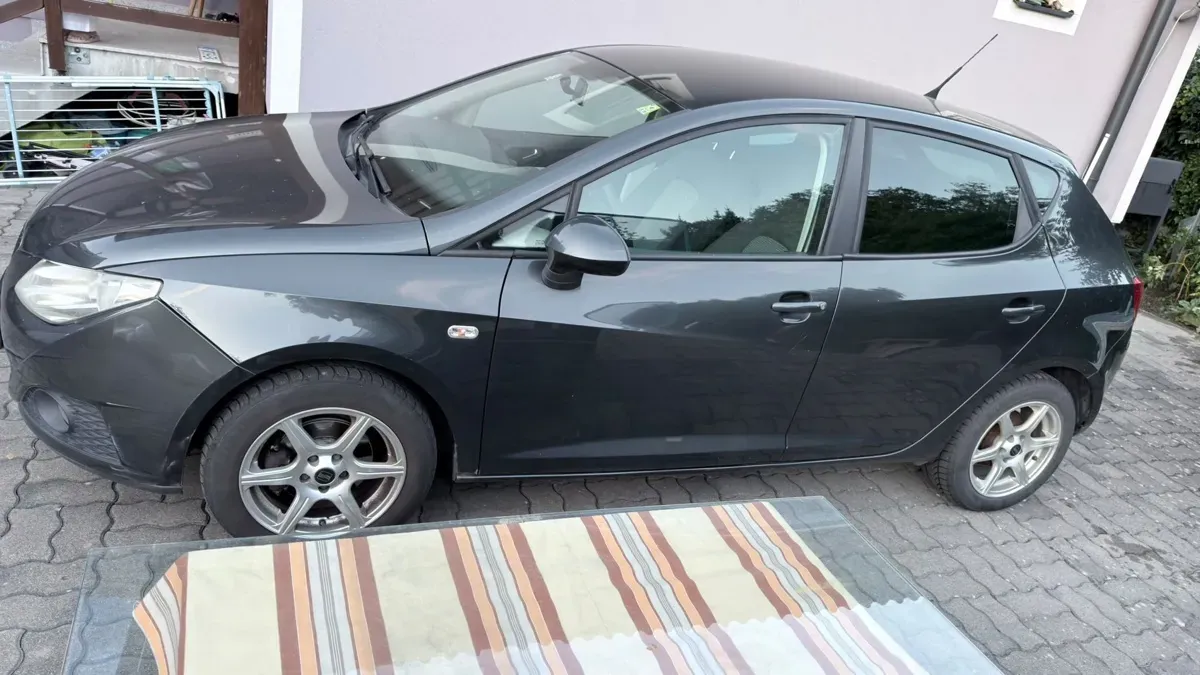 Seat Ibiza 2008 photo 2