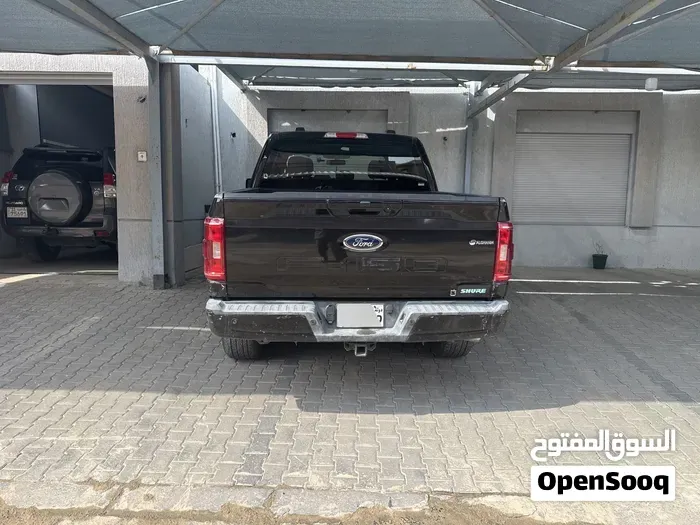 Ford F-150 2021 photo 2