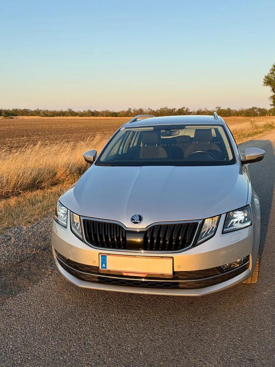 Skoda Octavia 2019 photo 2