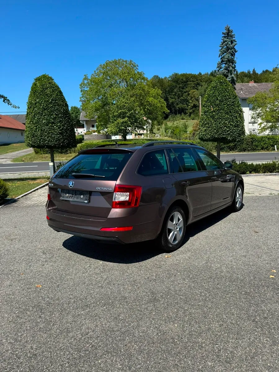 Skoda Octavia 2017 photo 2