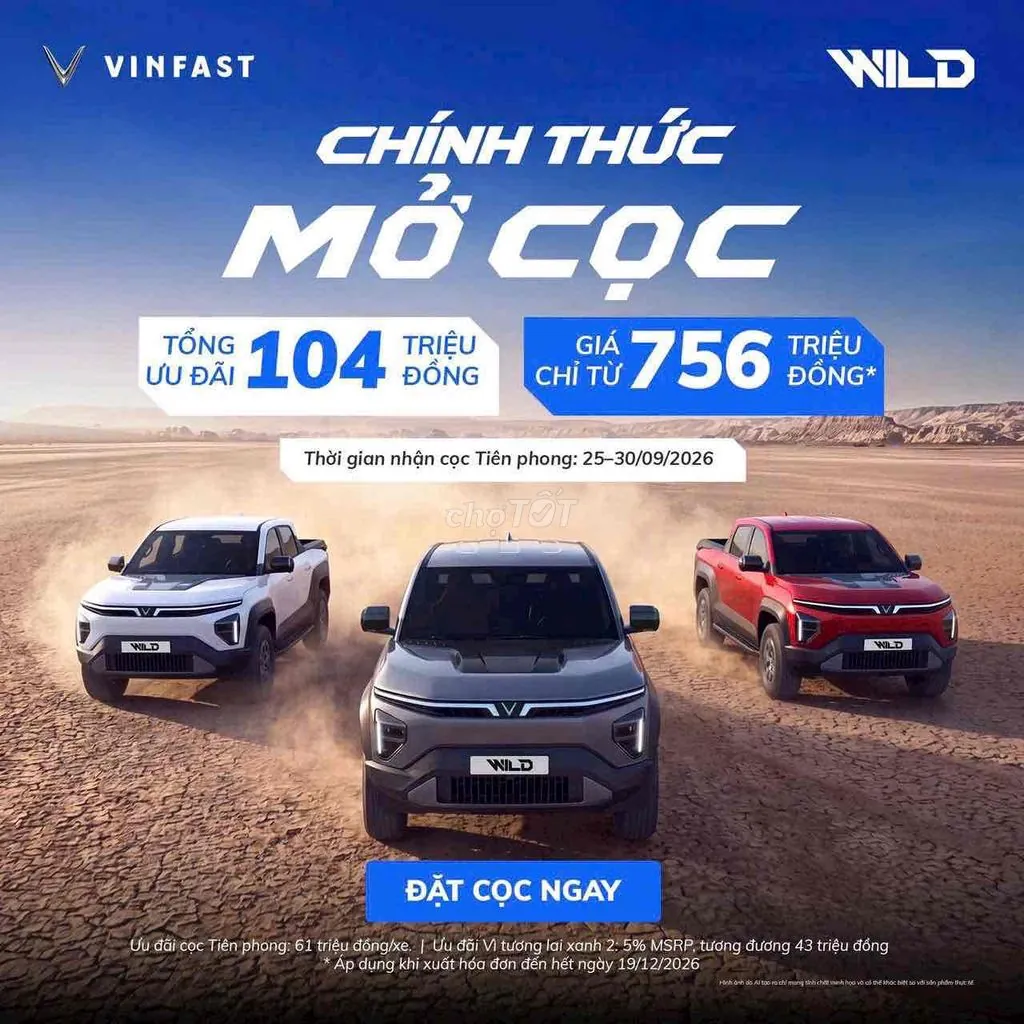 Vinfast Vf Wild
