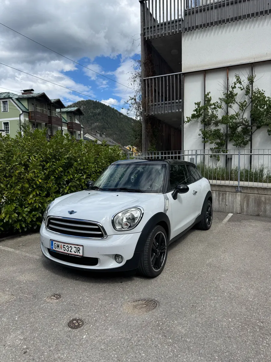 Mini Paceman