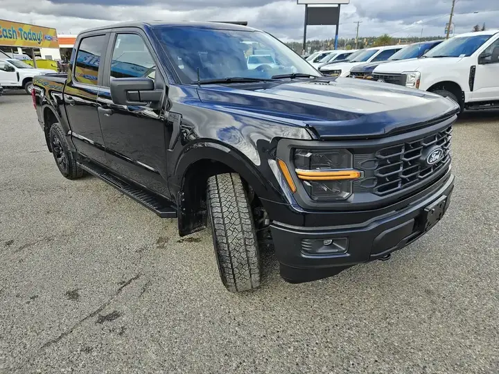 Ford F-150 2025 photo 3