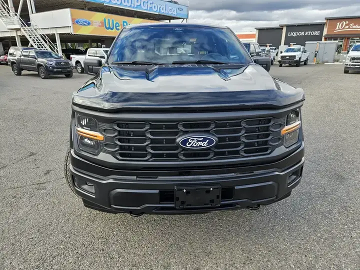 Ford F-150 2025 photo 2