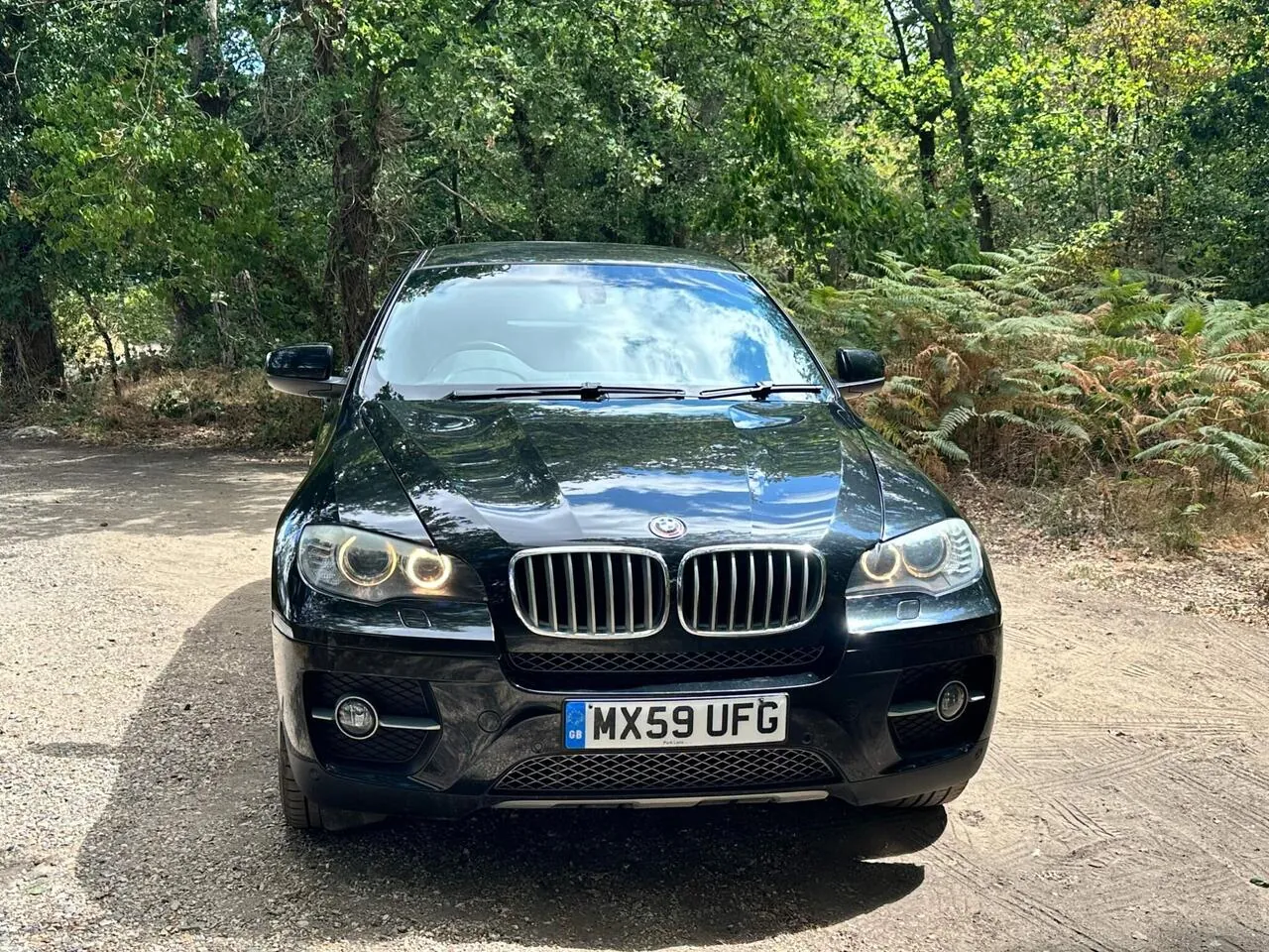 BMW X6 2009 photo 5