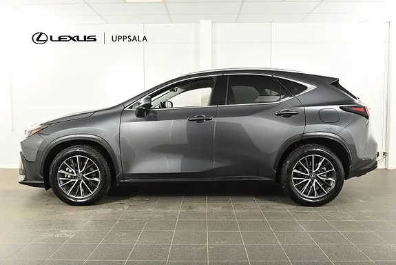 Lexus Nx450H+ 2023 photo 2