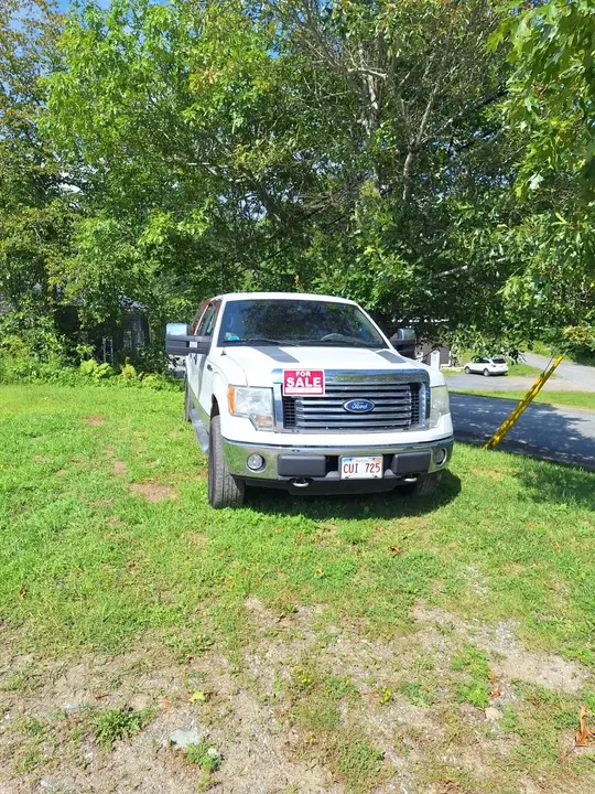Ford F-150 2010 photo 3