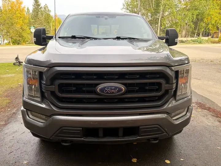 Ford F-150 2021 photo 3