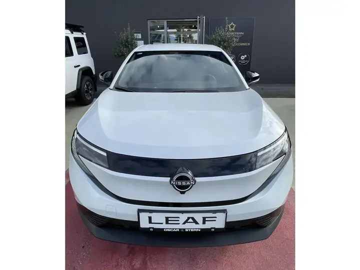 Nissan Leaf photo 2