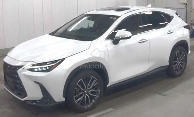 Lexus Nx250