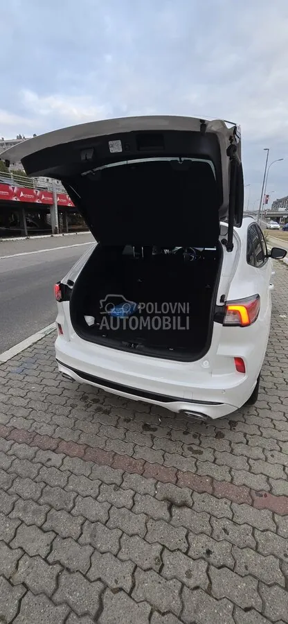 Ford Kuga 2020 photo 5