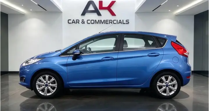 Ford Fiesta 2011 photo 3