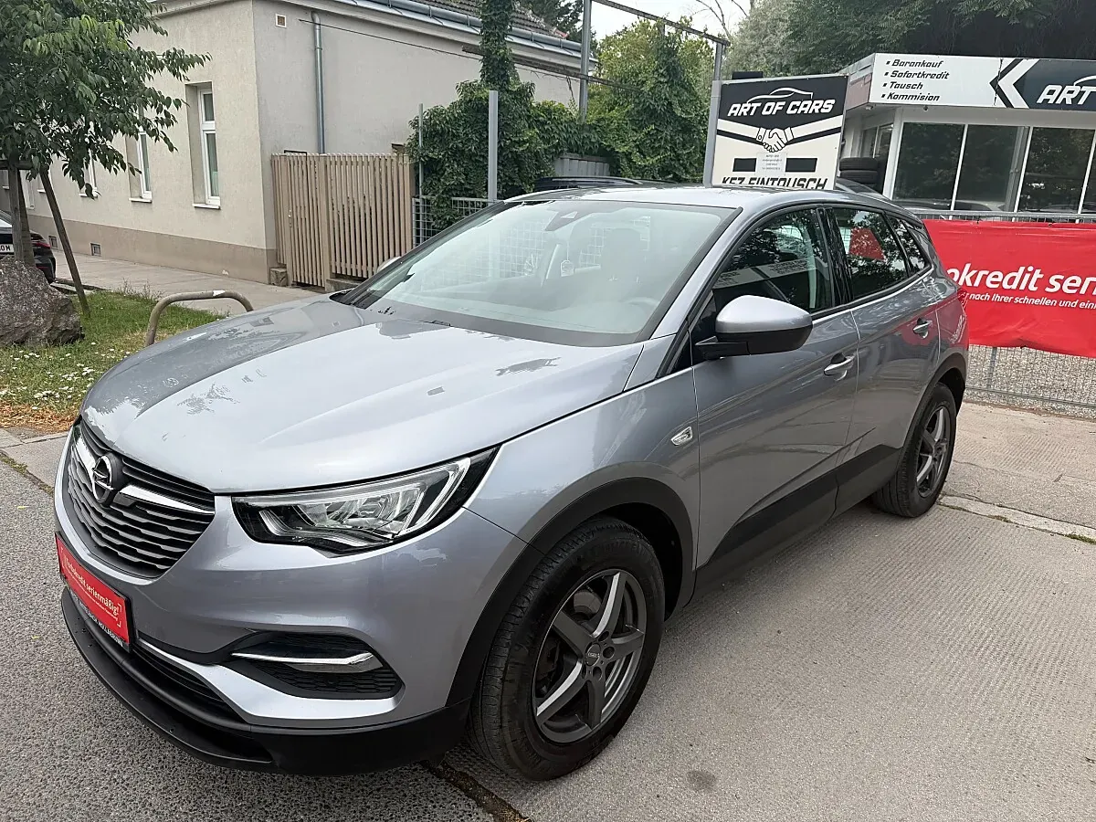 Opel Grandland X 2020 photo 2