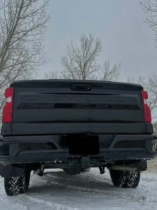 Chevrolet Silverado 1500 2020 photo 4