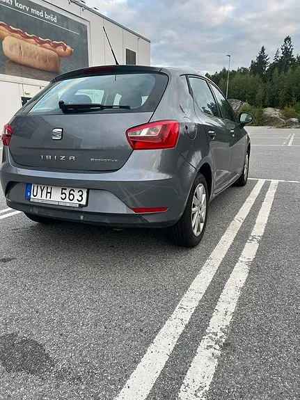 Seat Ibiza 2013 photo 2