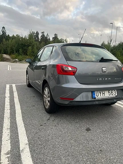 Seat Ibiza 2013 photo 5
