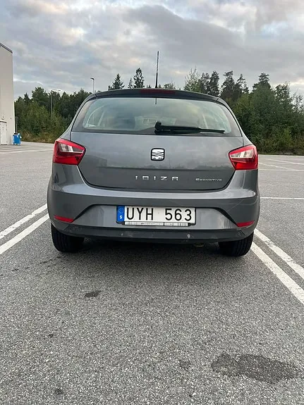 Seat Ibiza 2013 photo 3