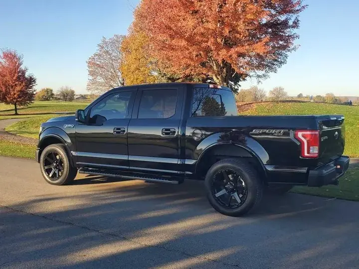 Ford F-150 2017 photo 2
