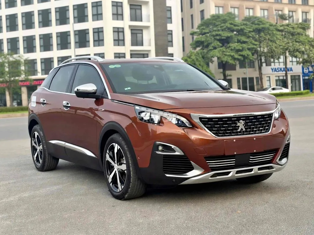 Peugeot 3008 2020 photo 3