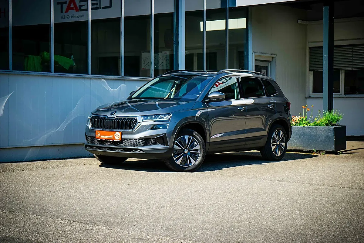 Skoda Karoq 2022 photo 3