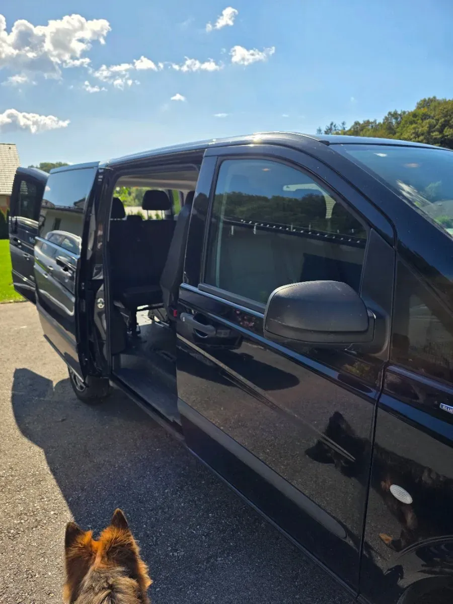 Mercedes-Benz Vito 2014 photo 2