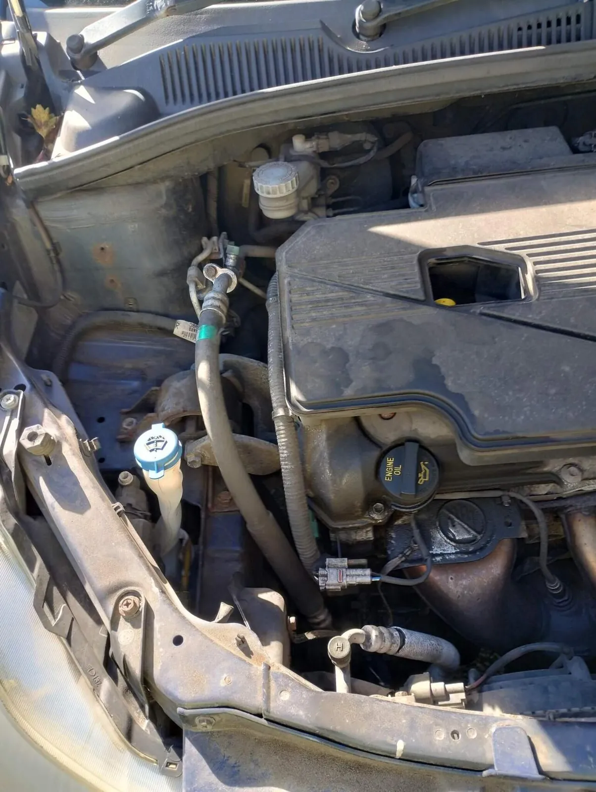 Suzuki Sx4 2007 photo 4